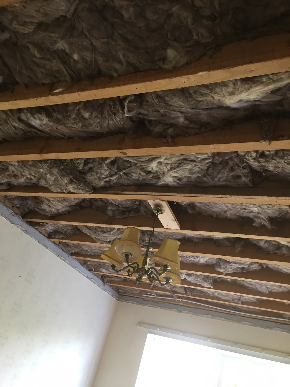 Looking up into an opened ceiling at insulation packed between the joists, beside a window