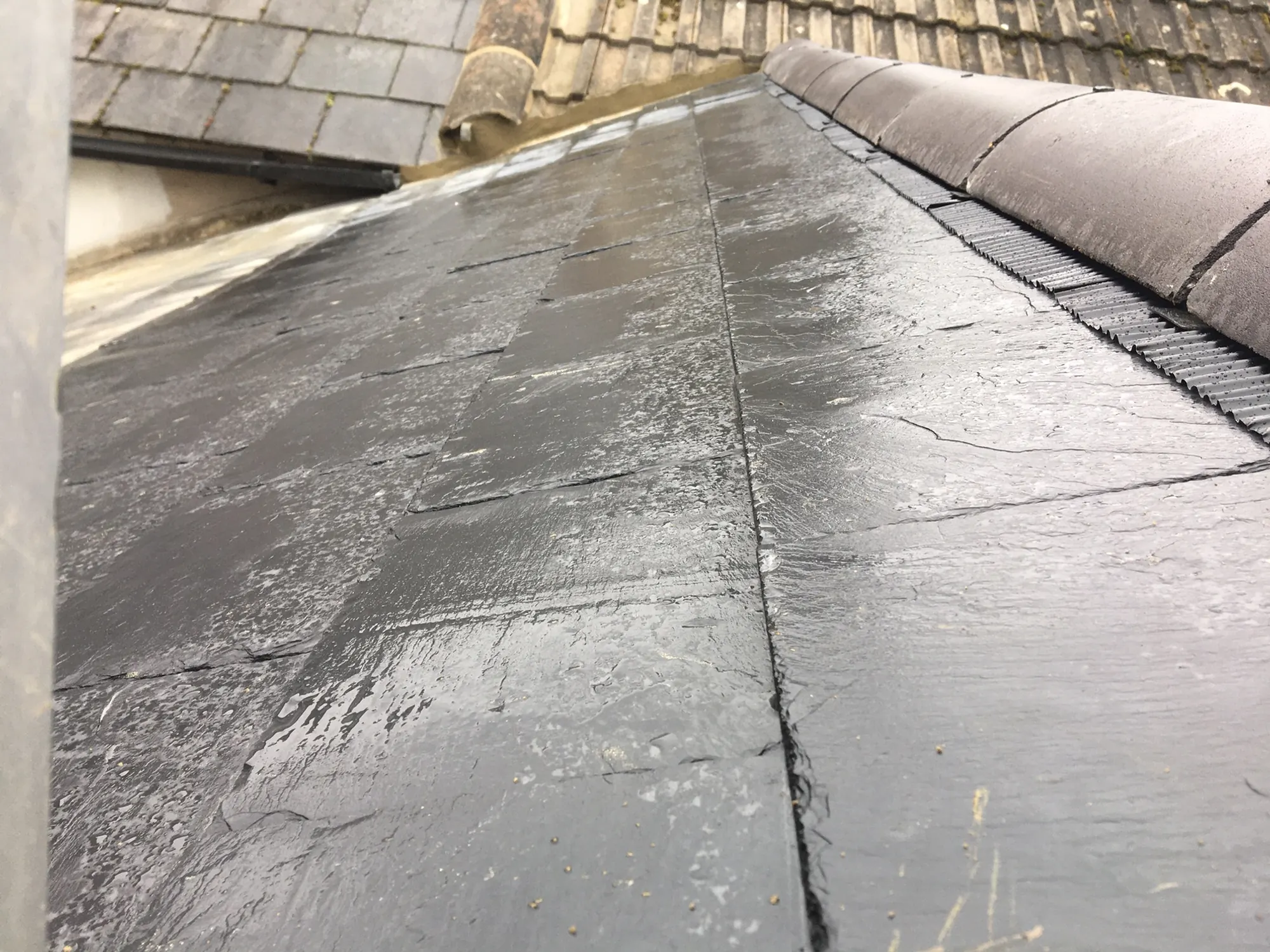 A large lead sheet roof, wet after rain, ridge running behind